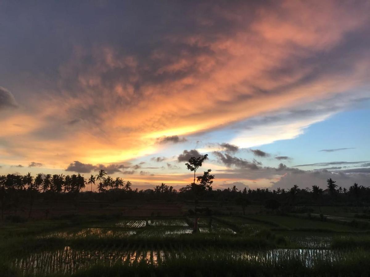 Sunset Pandawa Villa ウブド エクステリア 写真