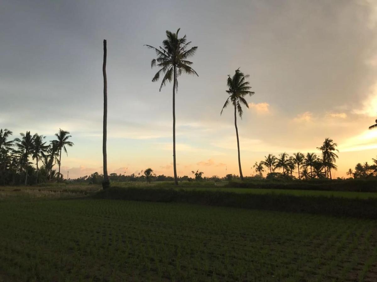 Sunset Pandawa Villa ウブド エクステリア 写真