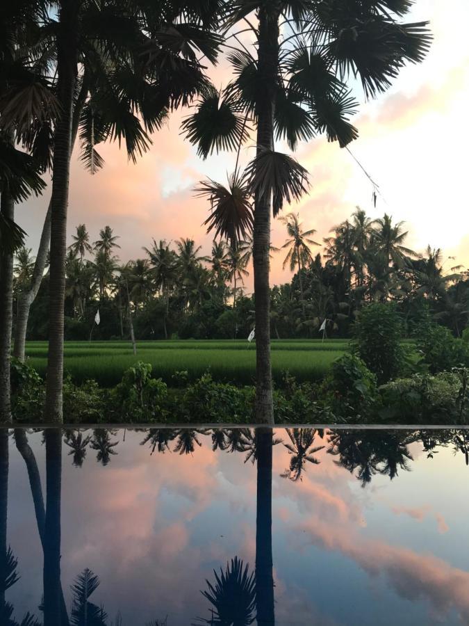 Sunset Pandawa Villa ウブド エクステリア 写真