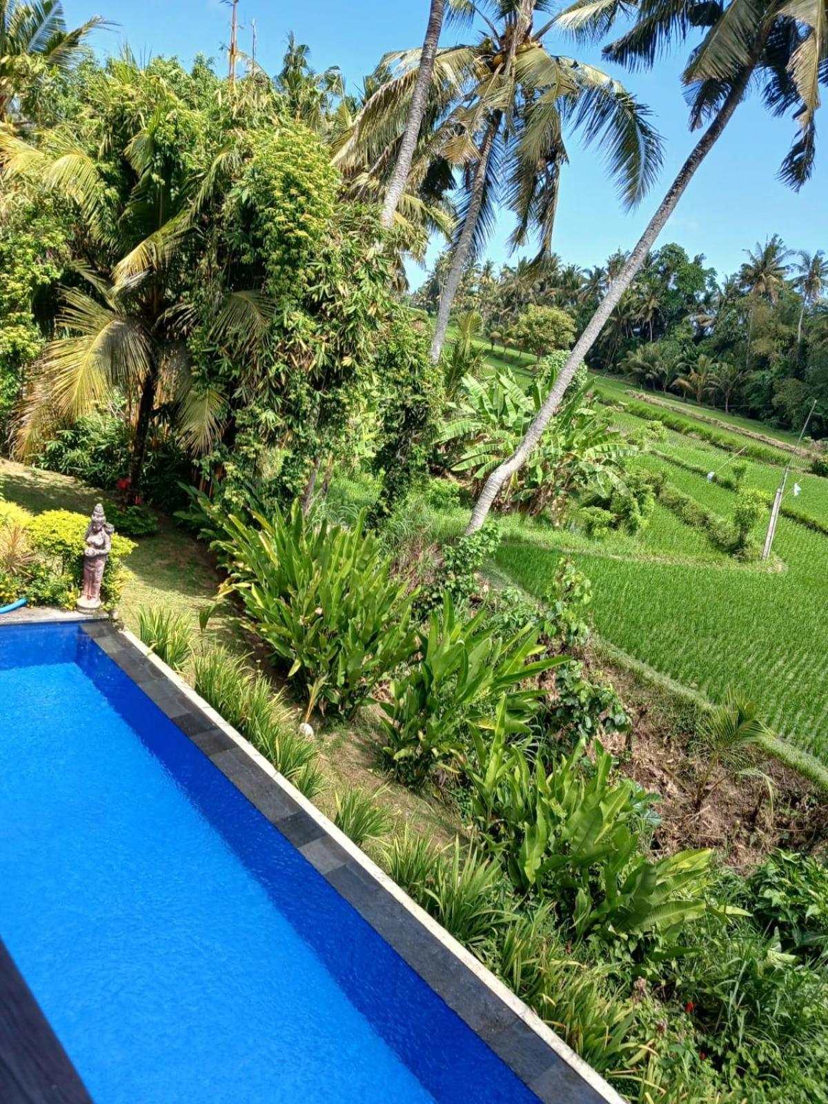 Sunset Pandawa Villa ウブド エクステリア 写真